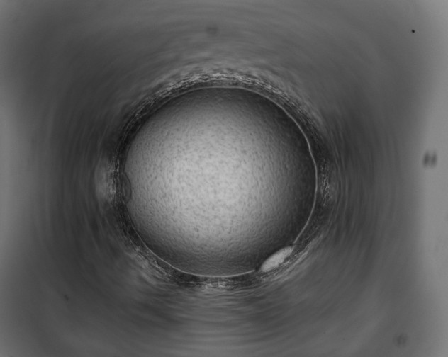 X0000101441490200807141253