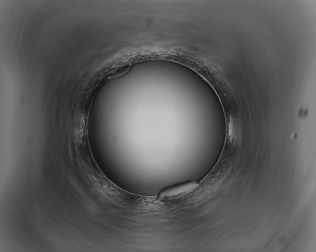 X0000101441492200807141253