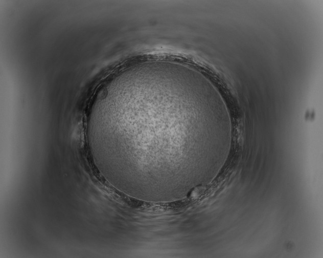 X0000101441493200807141253