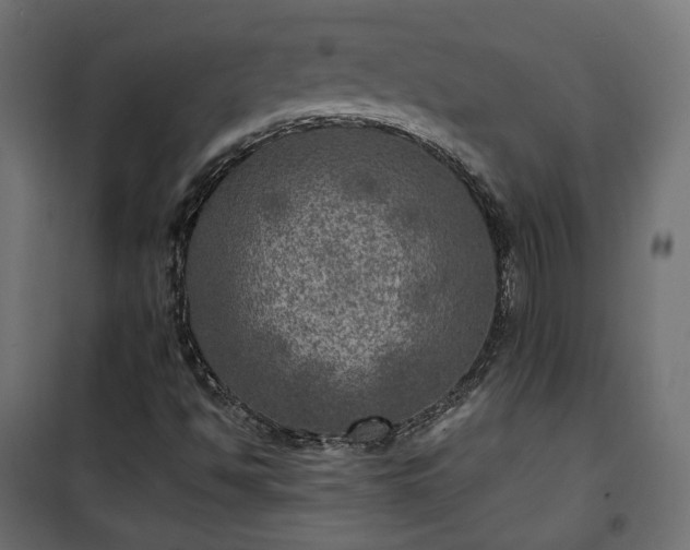 X0000101441494200807141253