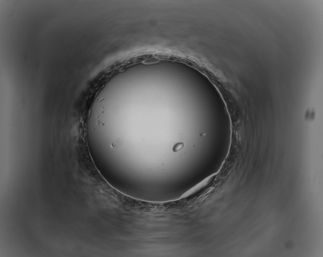 X0000101441495200807141253