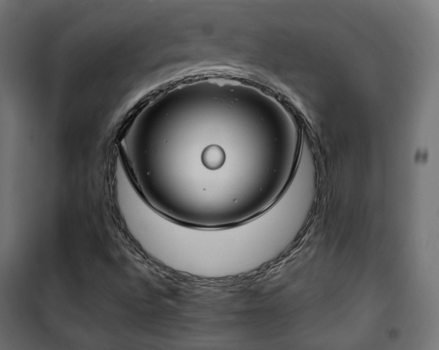 X0000101441496200807141253