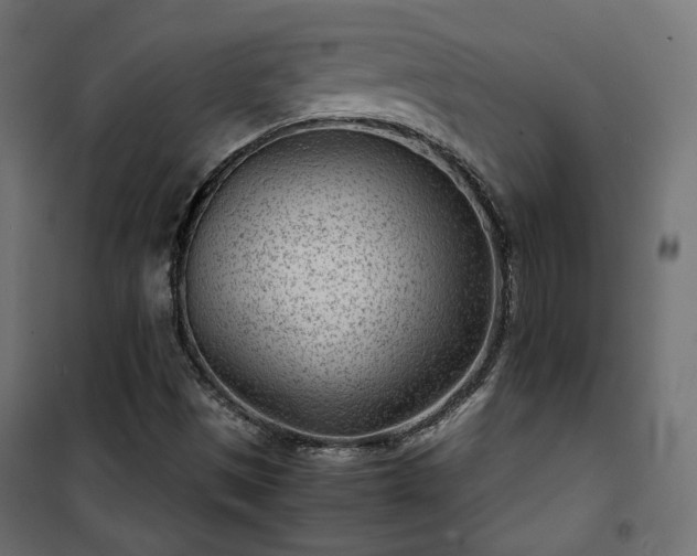 X0000101441497200807141253