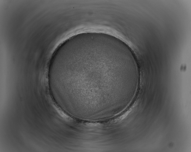 X0000101441498200807141253