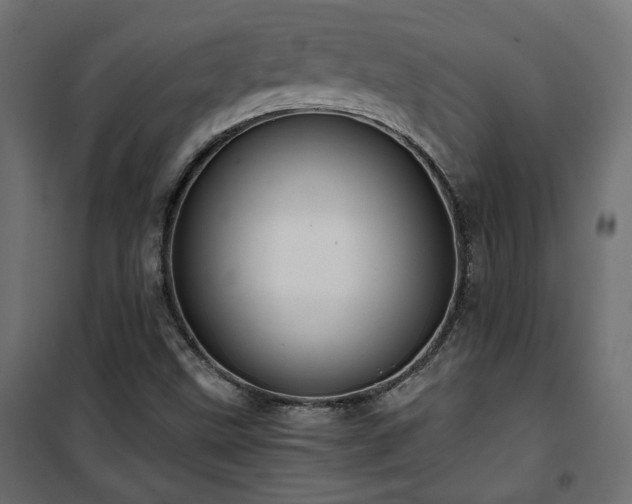 X0000101441499200807141253