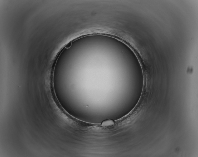 X0000101441500200807141253