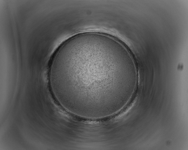 X0000101441501200807141253