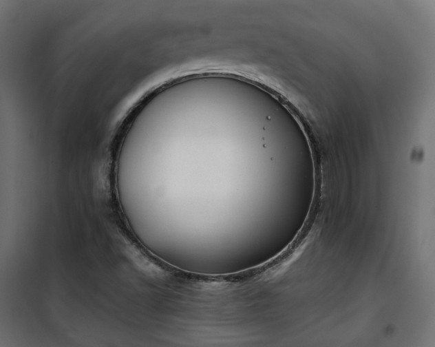 X0000101441502200807141253