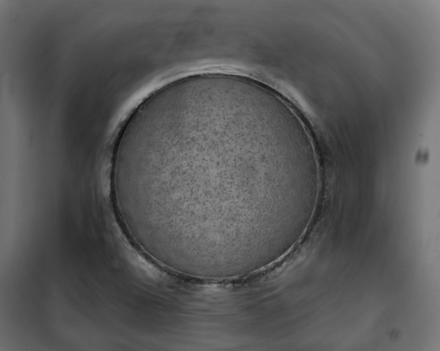 X0000101441504200807141253