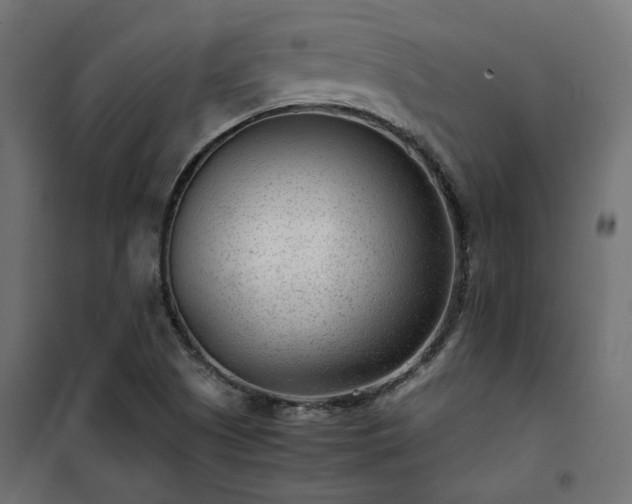 X0000101441505200807141253