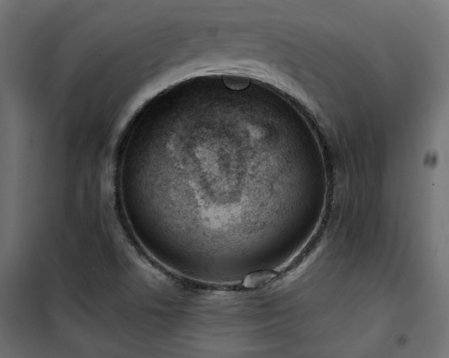 X0000101441506200807141253