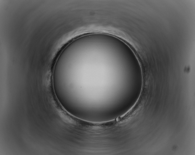 X0000101441507200807141253