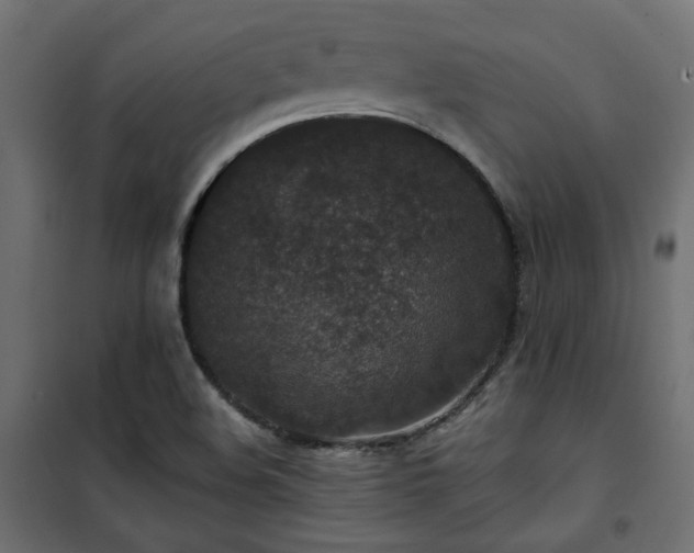 X0000101441508200807141253