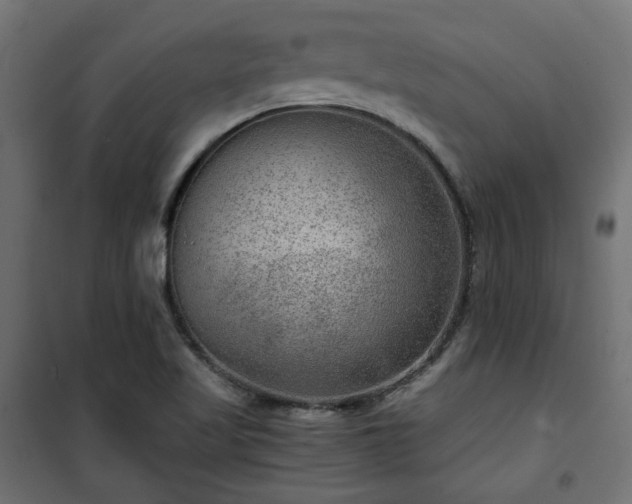 X0000101441509200807141253