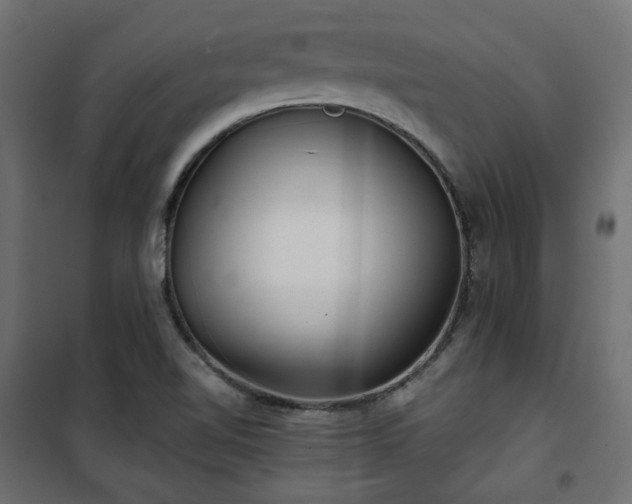 X0000101441510200807141253