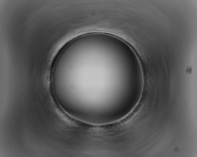 X0000101441511200807141253