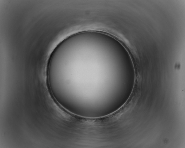 X0000101441512200807141253