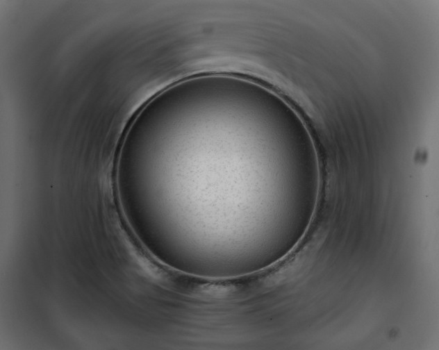 X0000101441513200807141253