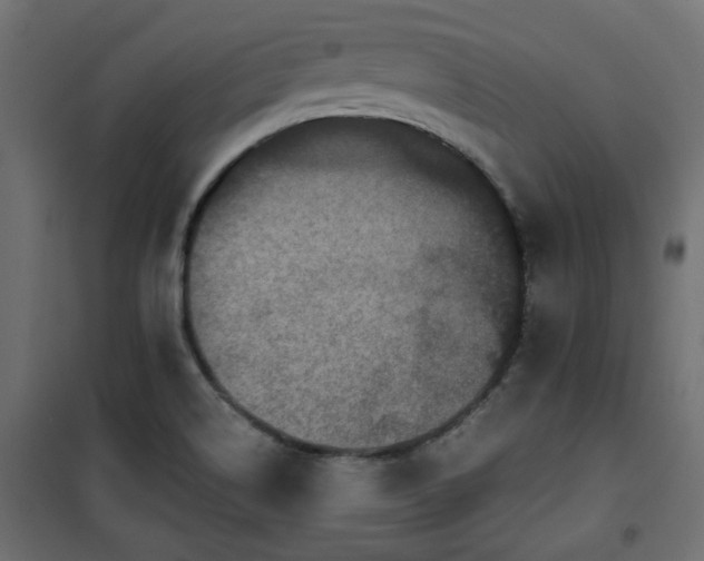 X0000101441514200807141253