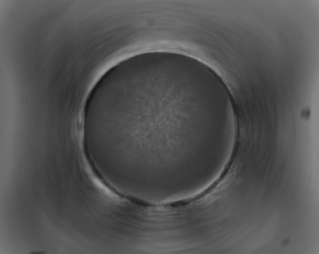 X0000101441515200807141253