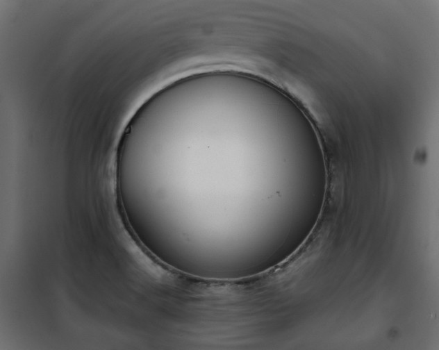 X0000101441516200807141254