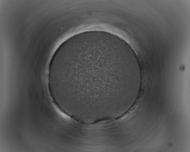 X0000101441519200807141254