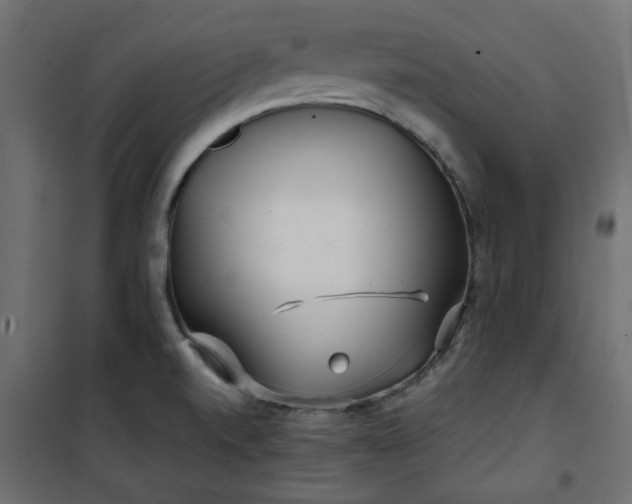 X0000101441520200807141254