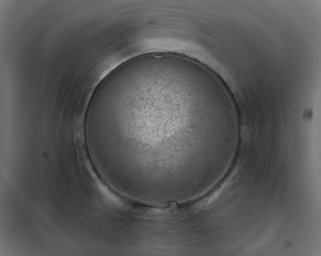 X0000101441521200807141254