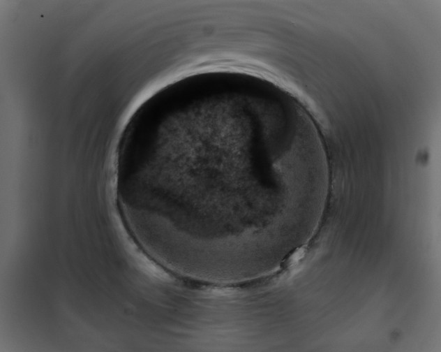 X0000101441522200807141254