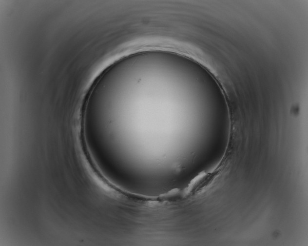 X0000101441523200807141254