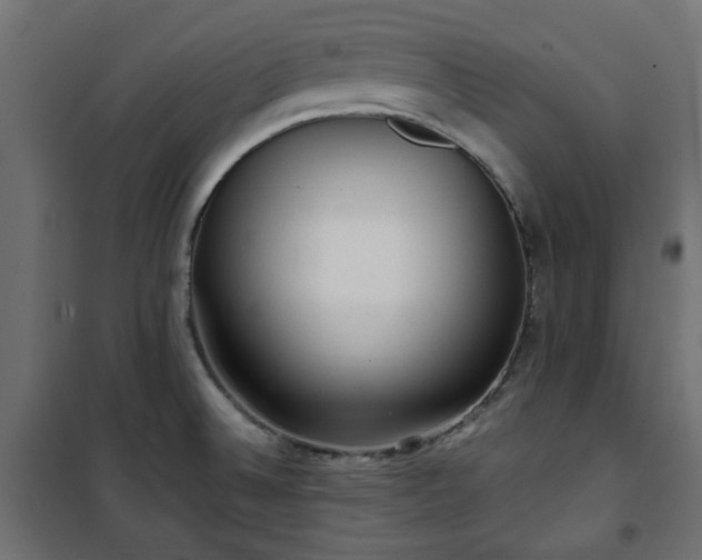 X0000101441524200807141254