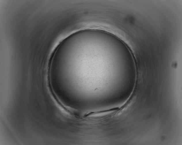 X0000101441525200807141254