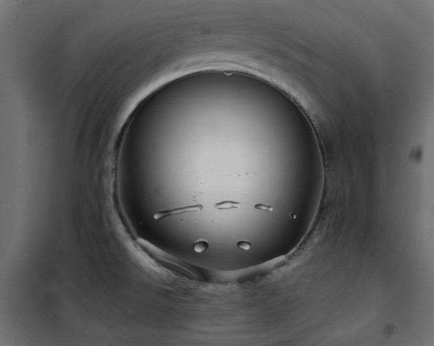 X0000101441526200807141254