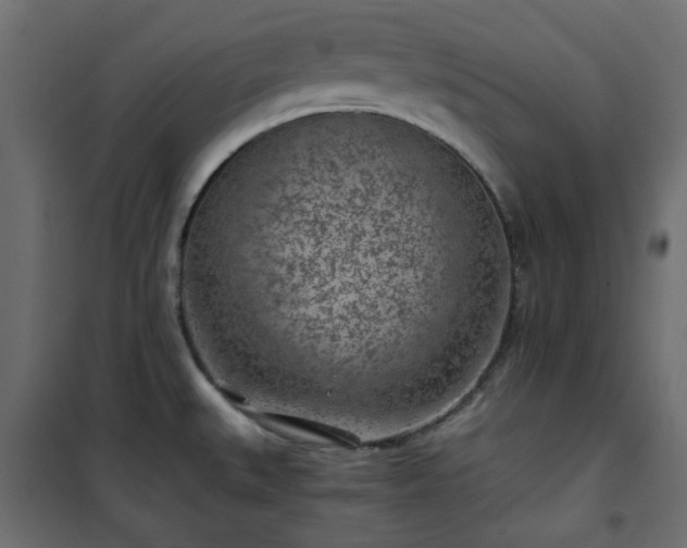 X0000101441527200807141254