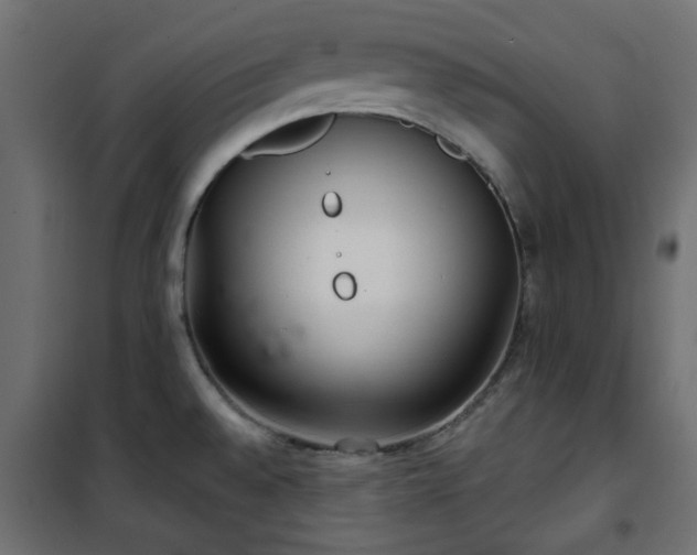 X0000101441528200807141254