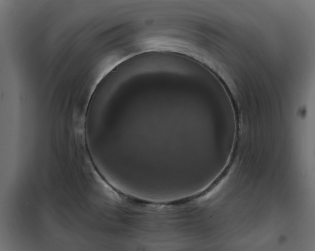 X0000101441529200807141254