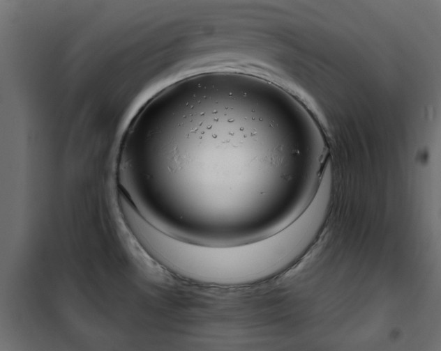 X0000101441530200807141254