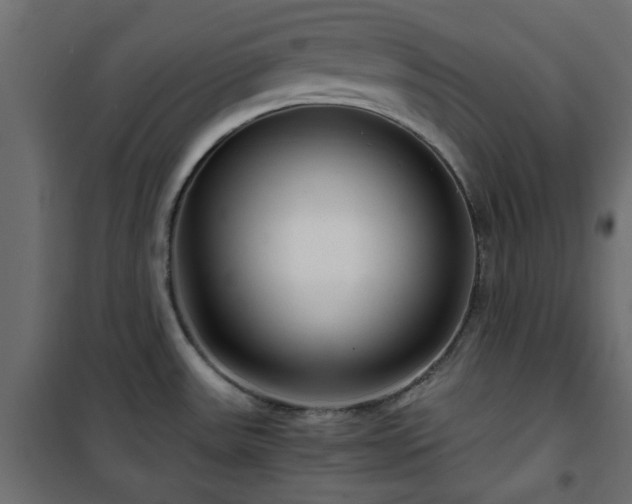 X0000101441531200807141254