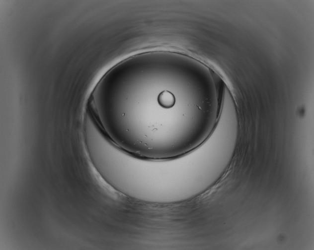 X0000101441532200807141254