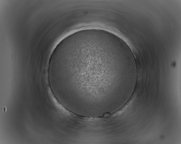 X0000101441534200807141254