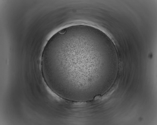 X0000101441535200807141254