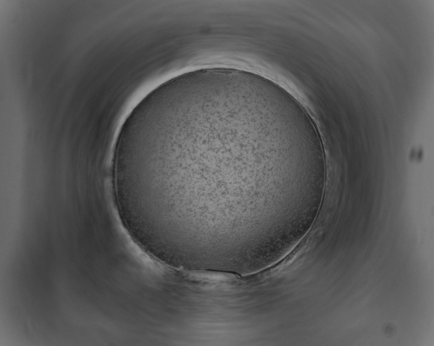 X0000101441536200807141254