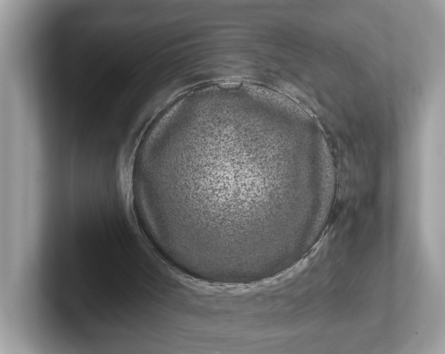 X0000101440002200807211222