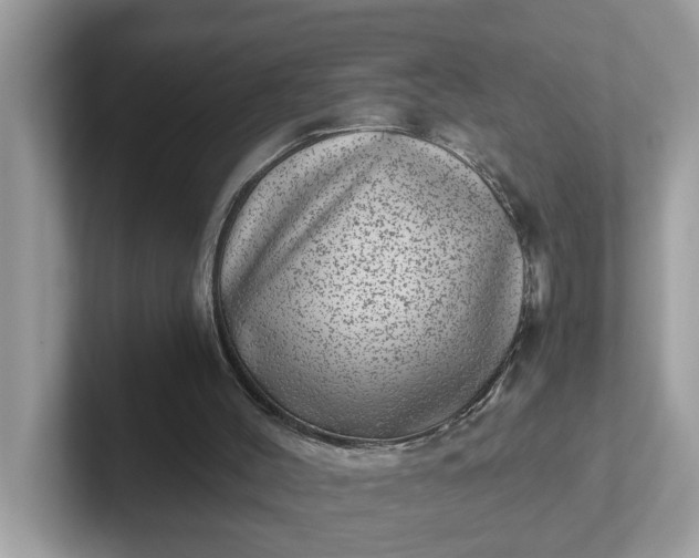 X0000101440004200807211222