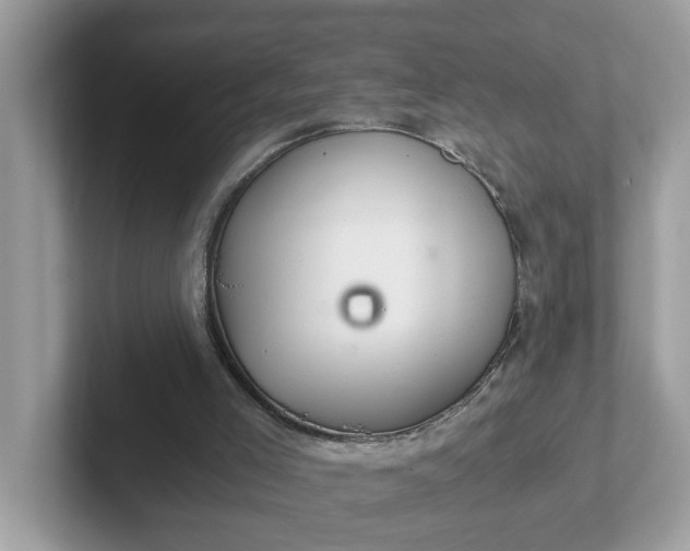 X0000101440005200807211222