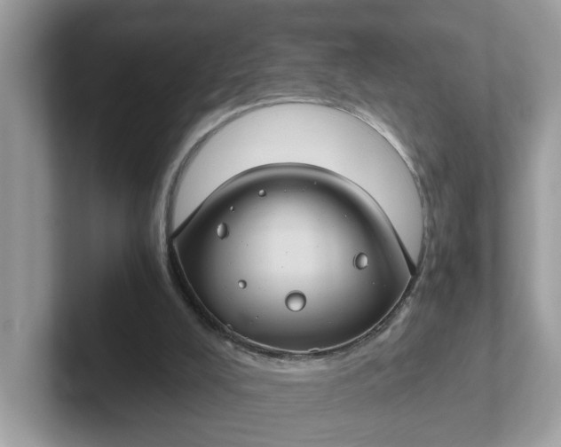 X0000101440008200807211222