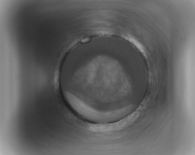 X0000101440009200807211222