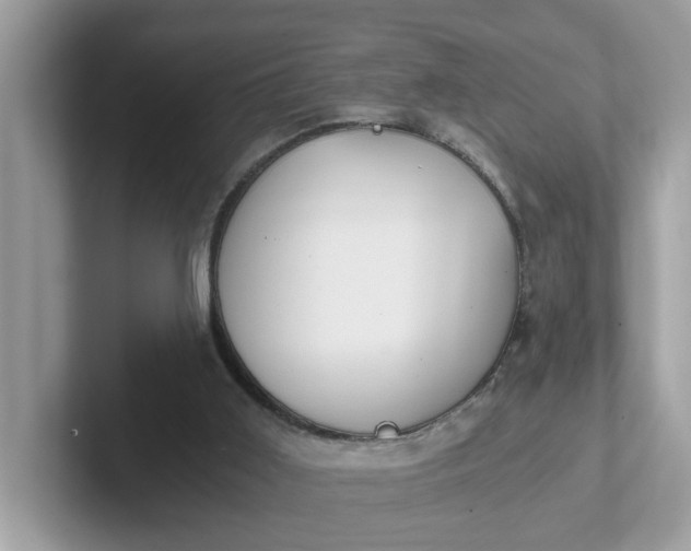 X0000101440011200807211222