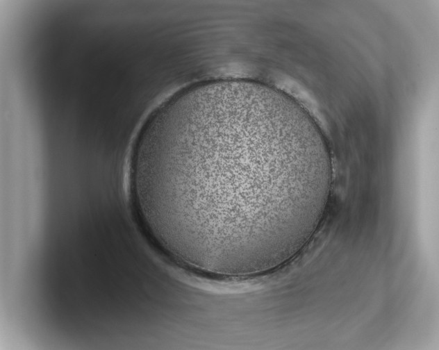 X0000101440012200807211222