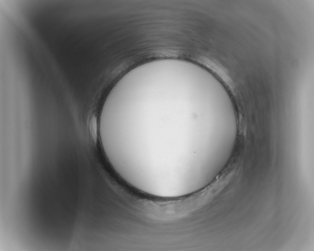 X0000101440013200807211222